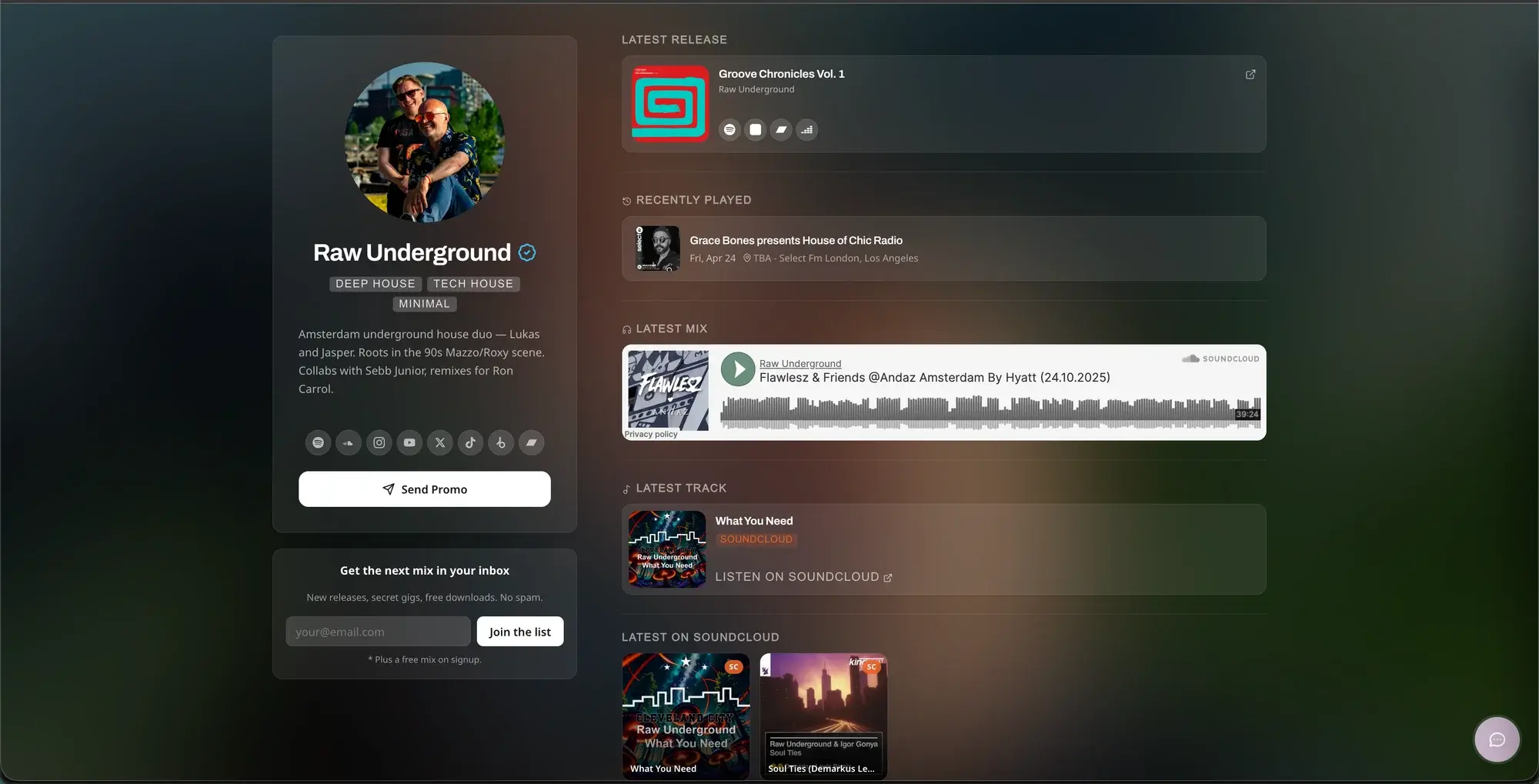 Bio Link editor showing blocks and customization