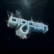 Big Fish Recordings