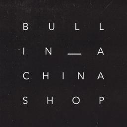 Bull In A China Shop logo