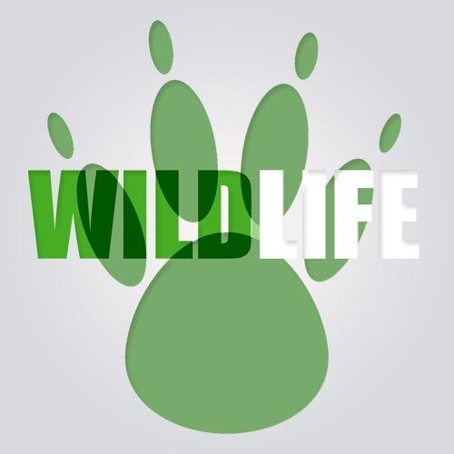 Wildlife